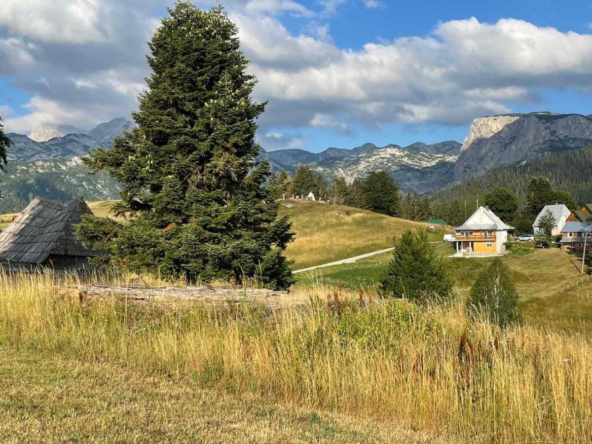 Apartman Bukovac Žabljak Exteriér fotografie