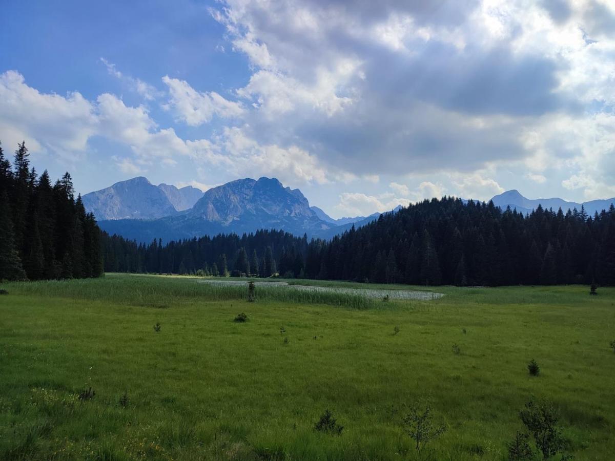 Apartman Bukovac Žabljak Exteriér fotografie