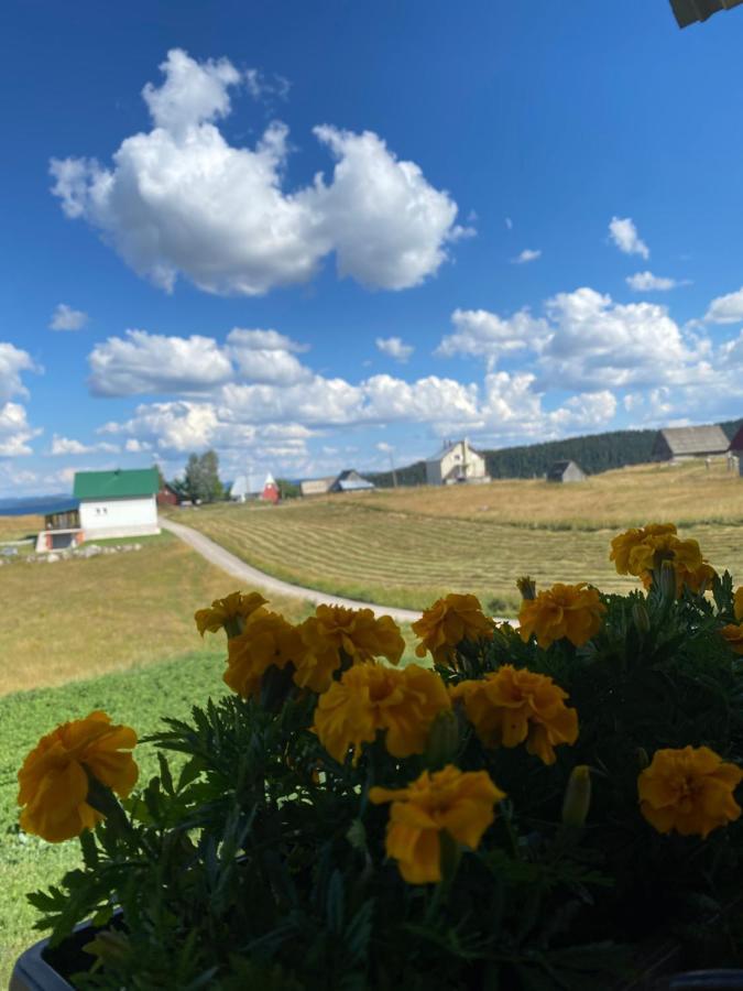 Apartman Bukovac Žabljak Exteriér fotografie