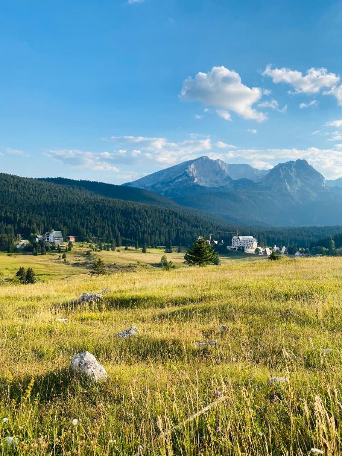 Apartman Bukovac Žabljak Exteriér fotografie